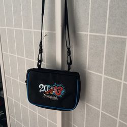 Disney Pouch