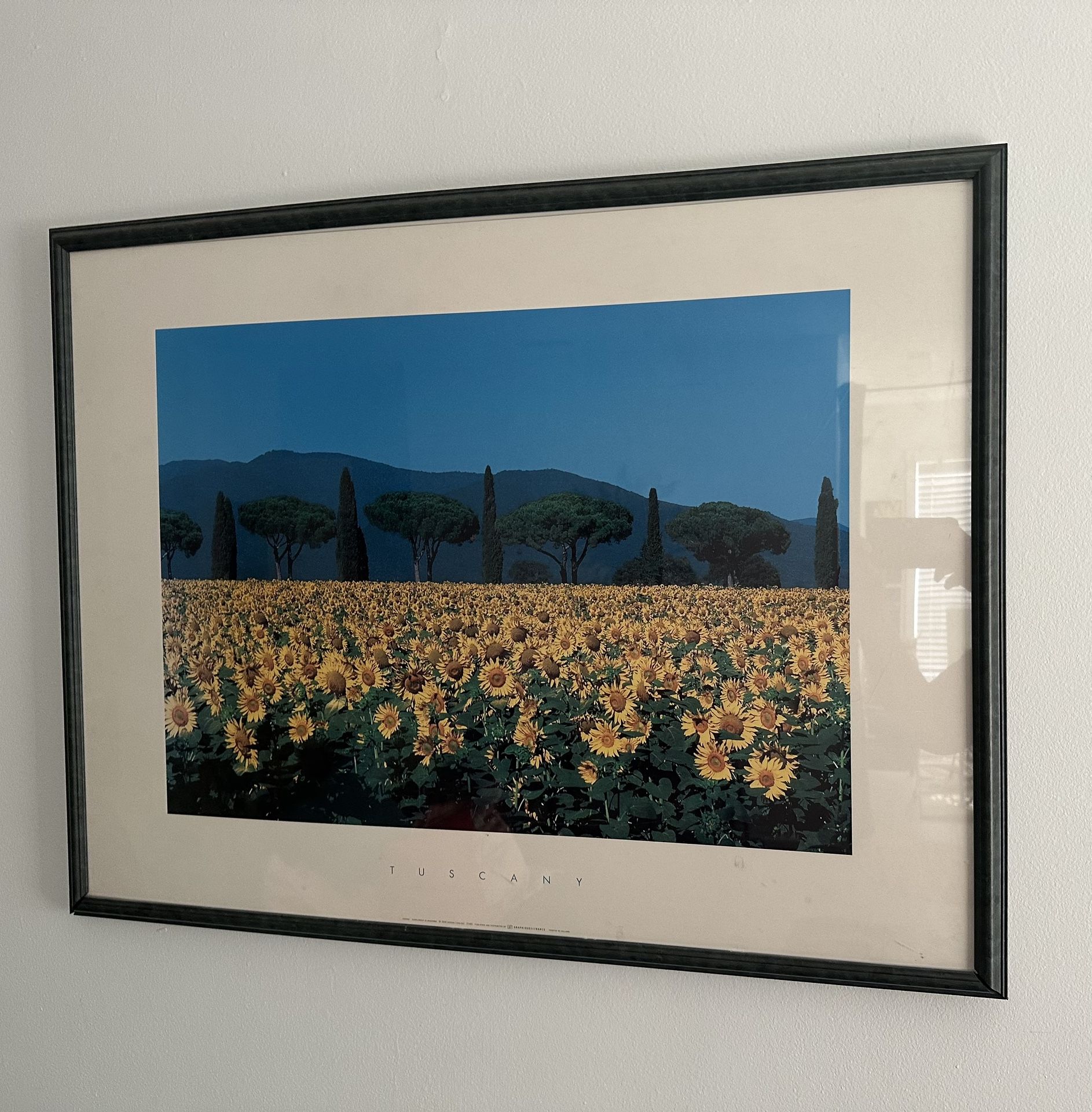 Wall decor Sunflower Print 20.00