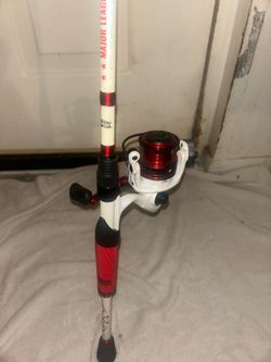 Abu Garcia MLF spinning combo