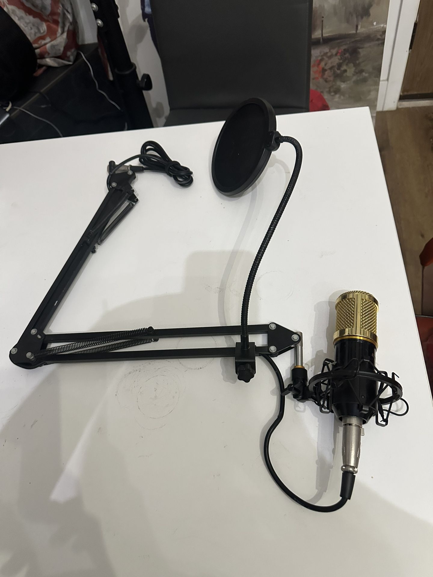 Studio Recording Condenser Microphone Kit with Shock Mount+Arm Stand+Windscreen+Cable for Network Broadcasting Online Singing (E) $80