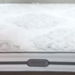 Like  New Beautiful Beauty Rest Queen Size Mattress And Box spring. ( Only  2 Times ) .
