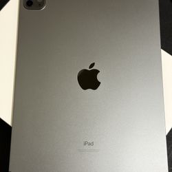 iPad Pro 11” WiFi + Cellular - 1TB - M1 Chip
