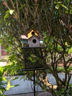 Bird House with bird seed