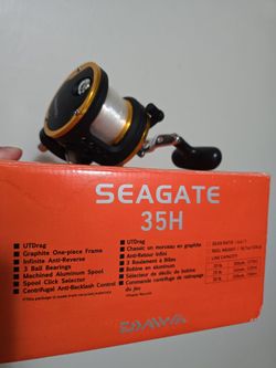 Dawia Seagate 35h
