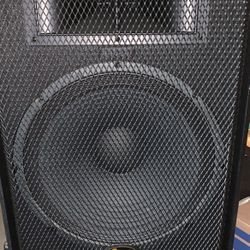 Fender Squier speakers