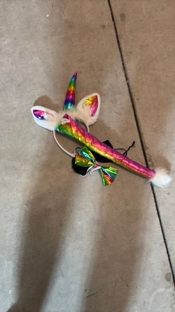 Unicorn custome