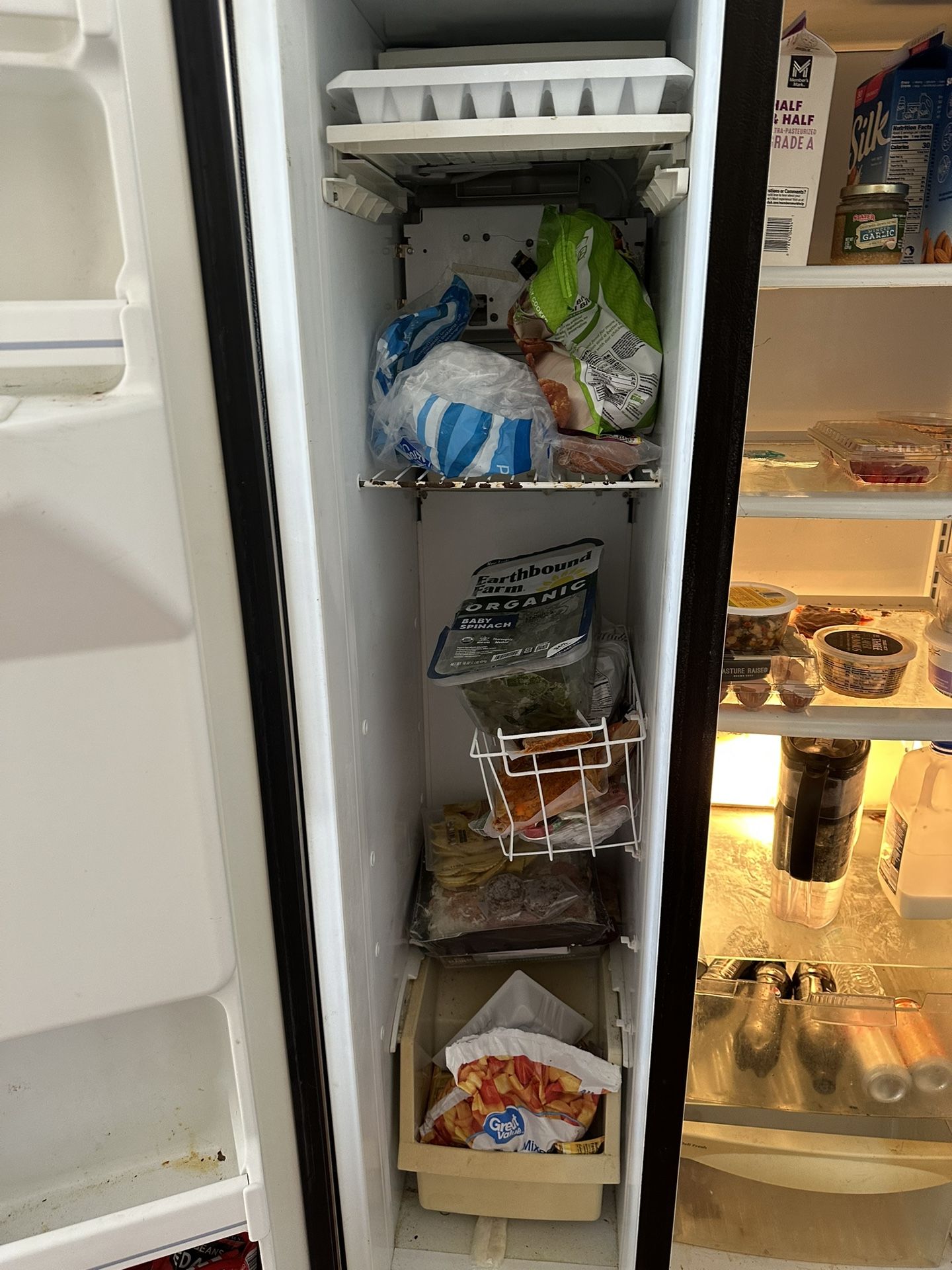Fridge