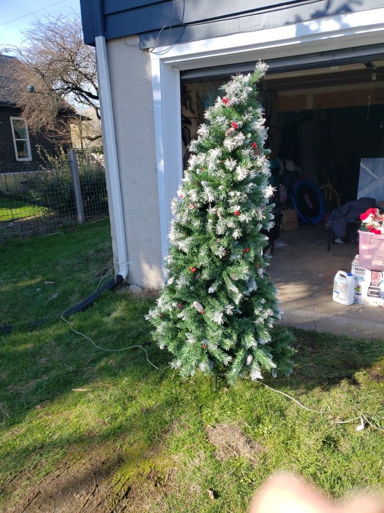 Free Christmas Tree With Lights On It