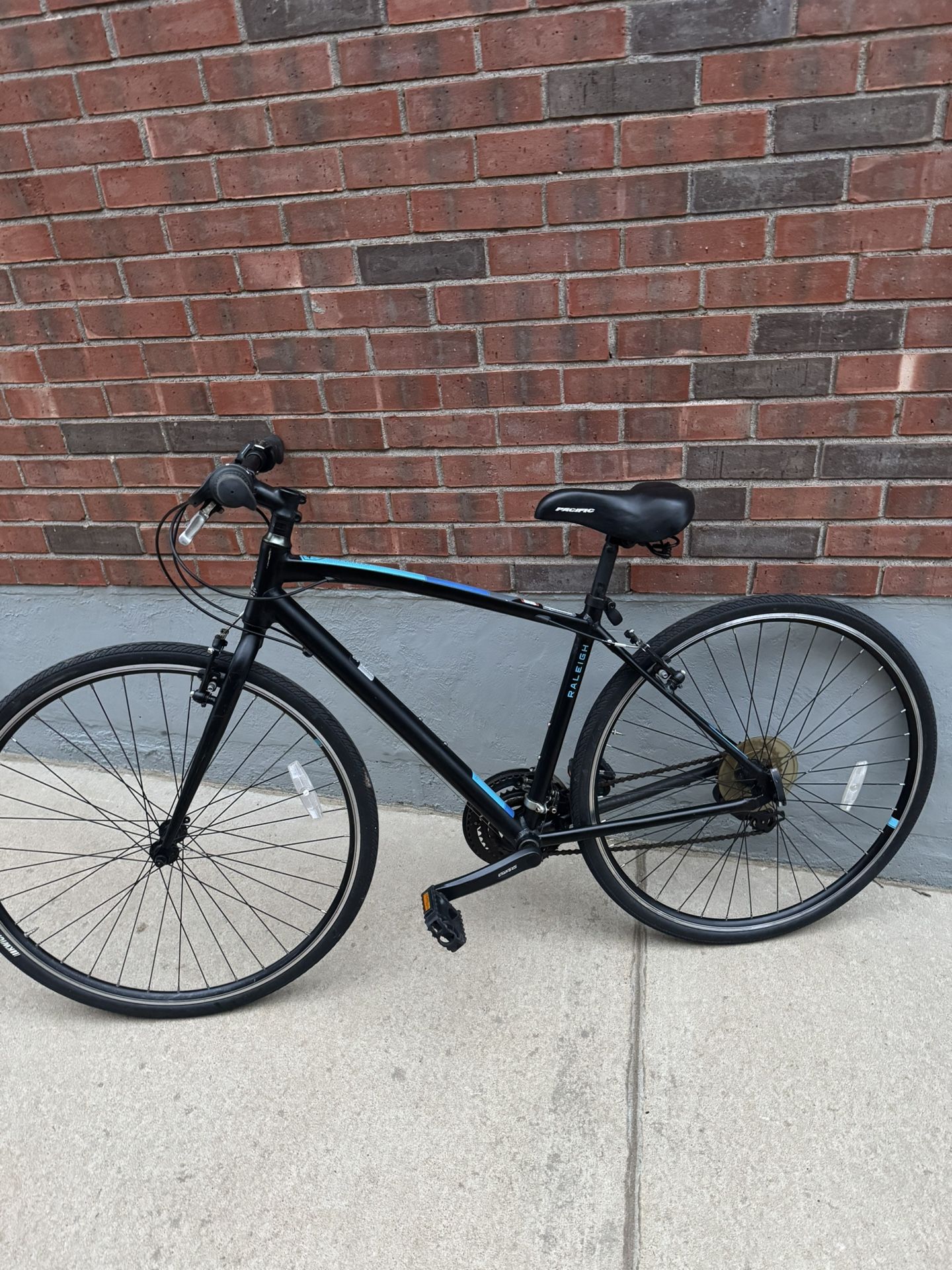 Raleigh Bike