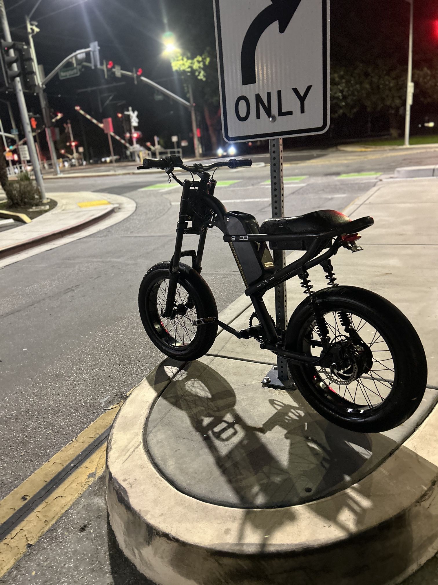 Riding Times Z8 ( Trade for other e-bike)