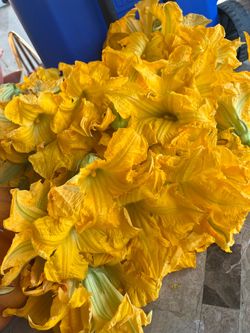 Flor de calabaza 10 flores por )1