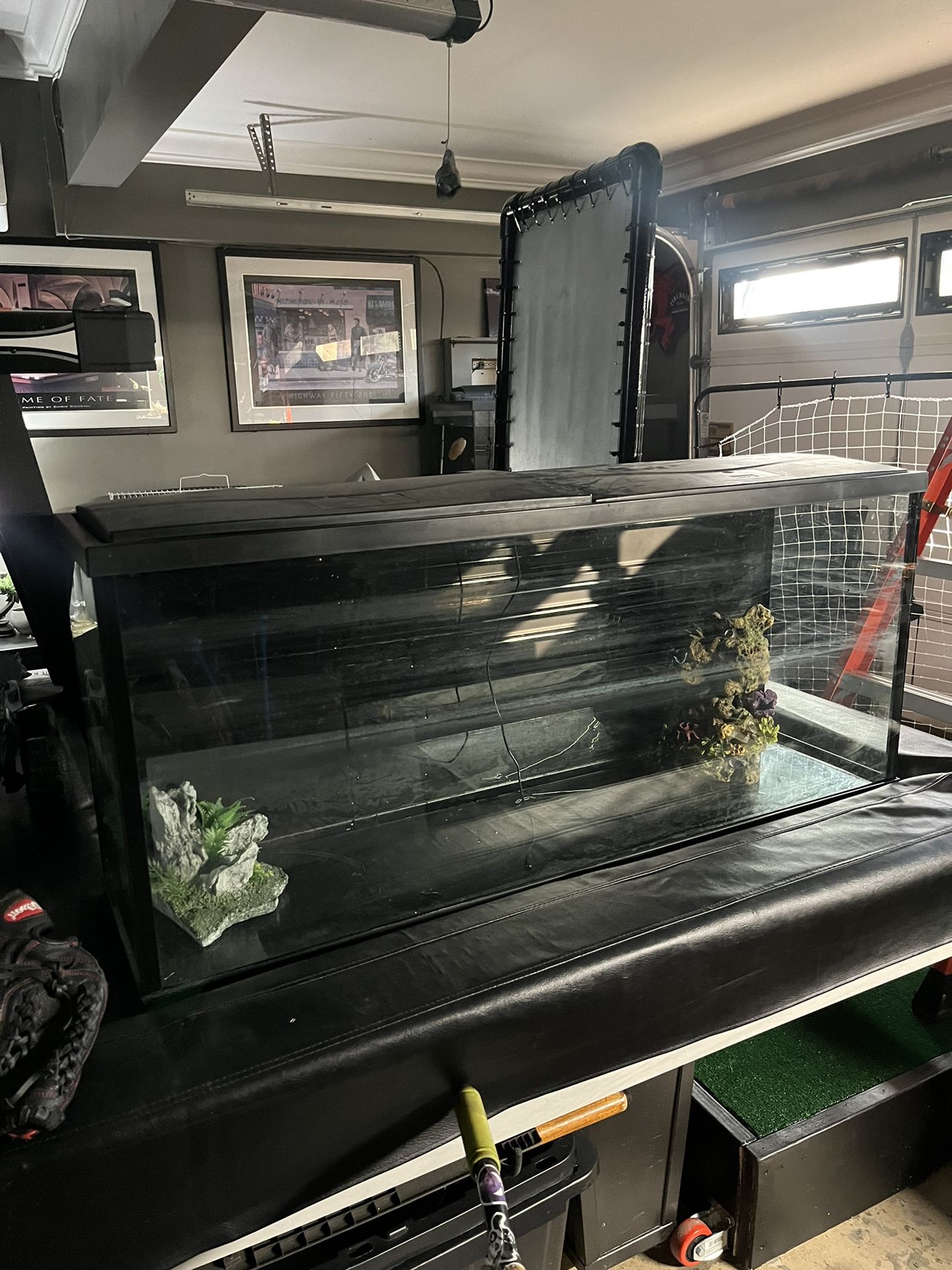 Fish Tank