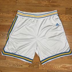  Authentic Adidas UCLA Bruins Basketball Shorts sz 44 Game Worn, Player Issue