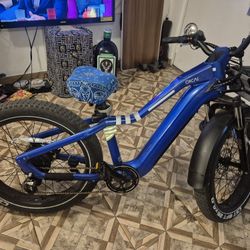 Electric Bike