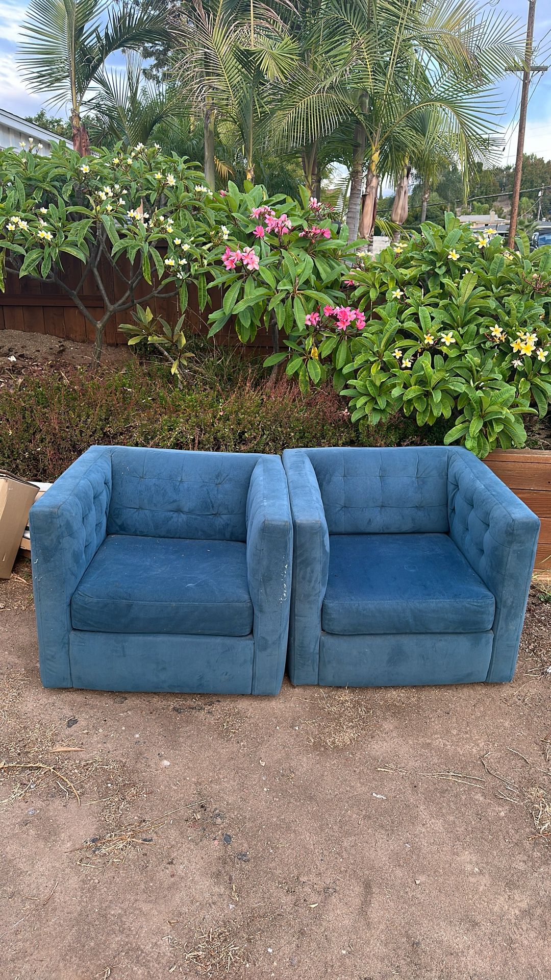 West Elm Chairs