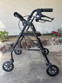 Walker 350 lbs capacity