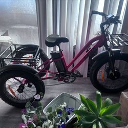 Electric Trike Bike