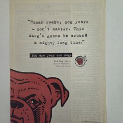 This image is a vintage print advertisement for Red Dog Beer.