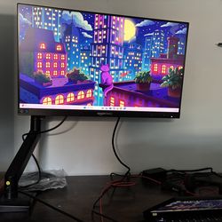 24 inch monitor and single monitor Arm