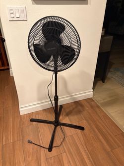 Pelonis Black Pedestal Standing Fan 16”
