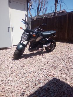 2025 Honda groms  sp
