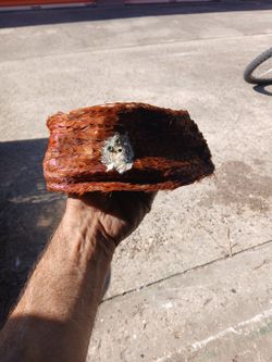 1940's Or 50's Vintage Ladies Peacock Hat.