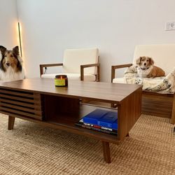 Mid Century Modern TV Stand + Coffee Table Combo