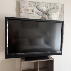47” Vizio HDTV – Works Great – HDMI Ready – Perfect for Guest Room or Gaming