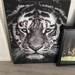 Blue Eye Tiger
