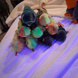 Iggy And Rainbow Error Beanies 