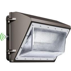 Commercial Security Light