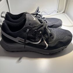 Nike Air Zoom Pegasus Trail 4