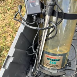 Canister Filter