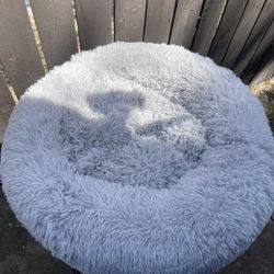Dog Bed