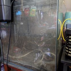 Rimless Aquarium 30 Gallons With Filter And Light