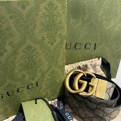 GG supreme Canvas Belt 
