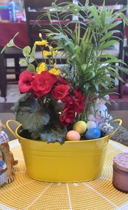 EASTER GIFT BASKETS/ LIVE PLANTS