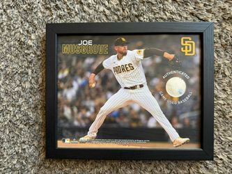 San Diego Padres Joe Musgrove Game Used Ball Picture