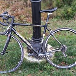 Lappaire 2009 Road Bike