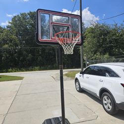 Lifetime Adjustable Portable Basketball Hoop (44 In. Polycarbonate)