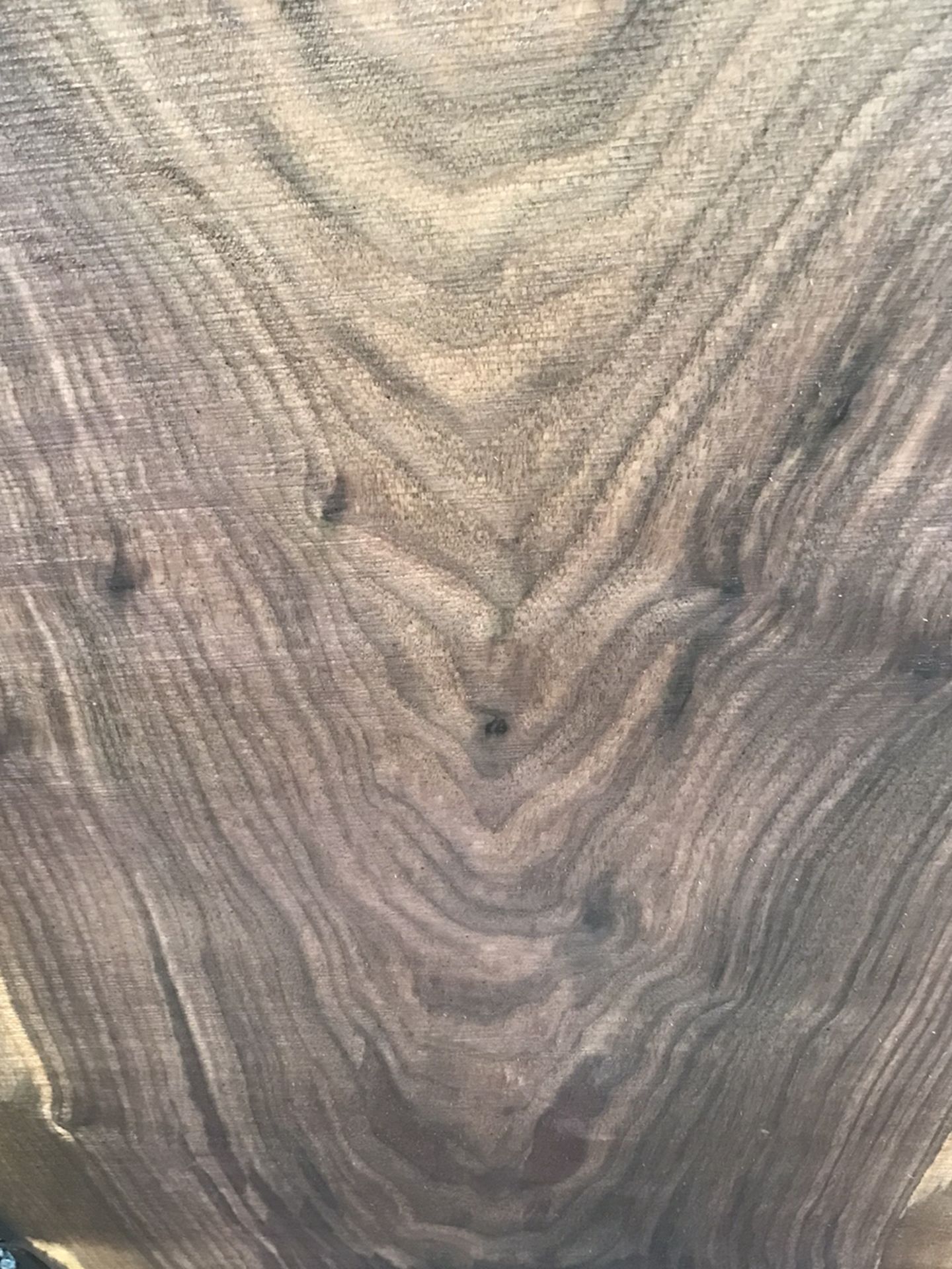 15 Big Black Walnut Slabs