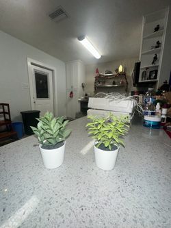 Small Faux Plants