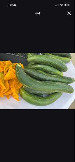 Tengo a la venta pepinos  orgánicos $1 la libra.
