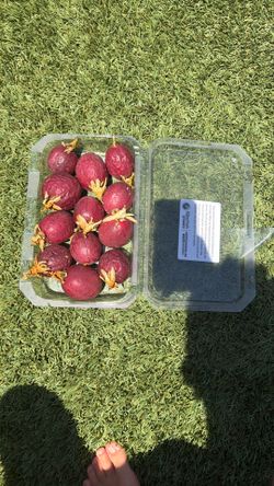 Passion fruit