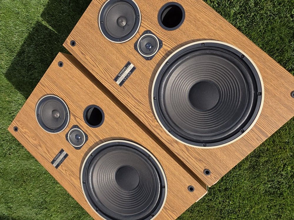 Pioneer CS-G303 3-Way Speakers