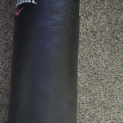 Everlast Punching Bag