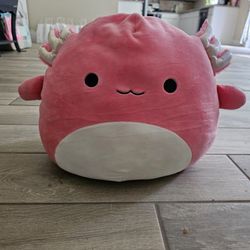 AXOLOTL Pink Medium 