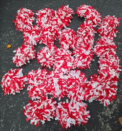 Cheer cheerleader pom pims
