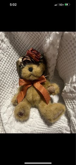Sage Leafowitz Boyd’s Bear