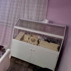 Small Animal Cage 